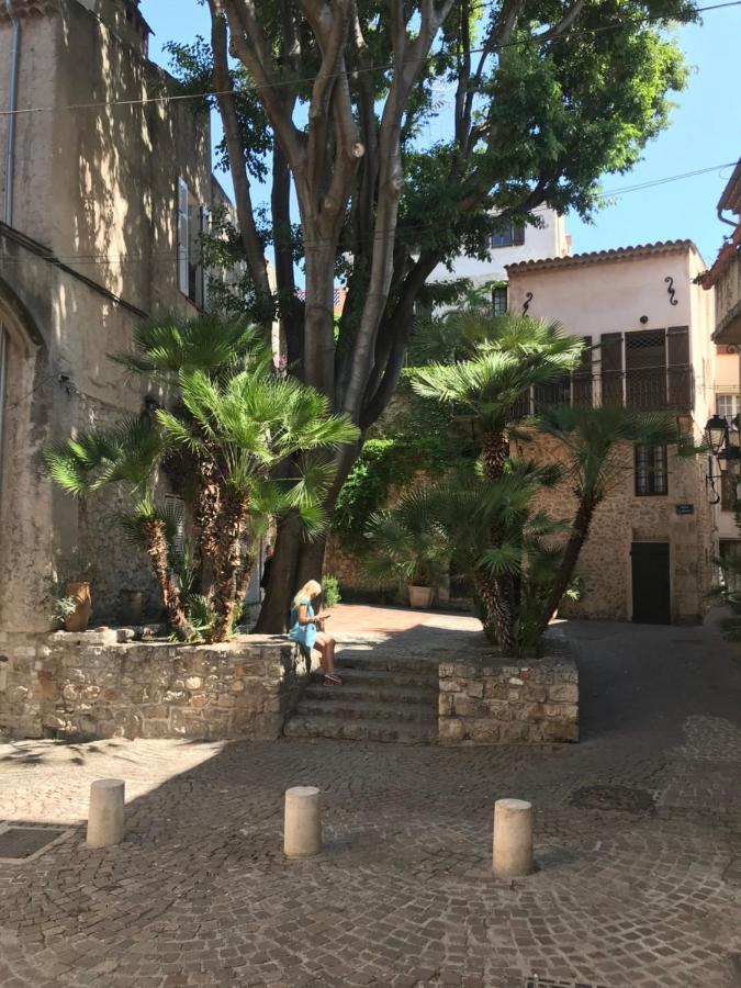 Antibes Tres Belle Situation ! Διαμέρισμα Εξωτερικό φωτογραφία